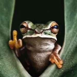 Meet your Posher, Danny